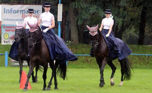 img-7506-edytowano-copy Małopolska Parada Koni 2025 w Klikowej