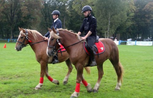 img-7525-edytowano-copy Małopolska Parada Koni 2025 w Klikowej