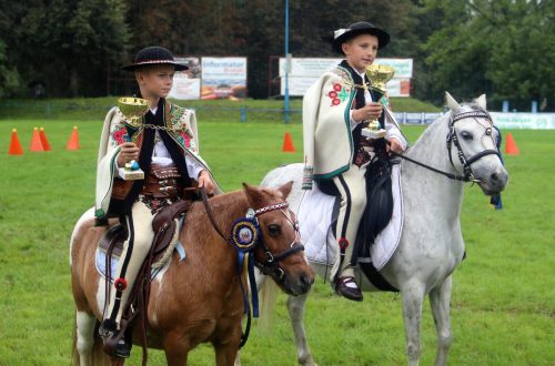 img-7561-edytowano-copy Małopolska Parada Koni 2025 w Klikowej