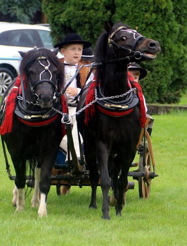 img-7570-edytowano-copy Małopolska Parada Koni 2025 w Klikowej