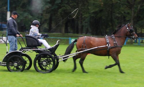 img-7577-edytowano-copy Małopolska Parada Koni 2025 w Klikowej