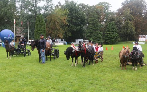 img-7594-edytowano-copy Małopolska Parada Koni 2025 w Klikowej