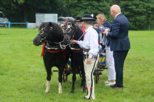 img-7601-edytowano-copy Małopolska Parada Koni 2025 w Klikowej