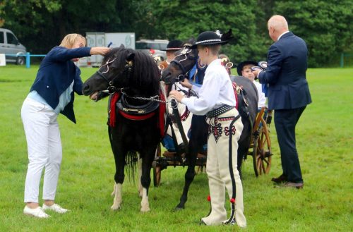 img-7603-edytowano-copy Małopolska Parada Koni 2025 w Klikowej