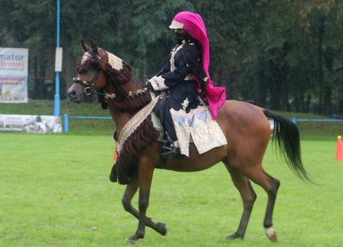 img-7692-edytowano-copy Małopolska Parada Koni 2025 w Klikowej