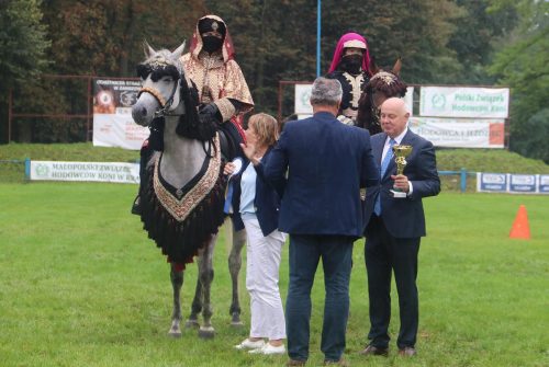 img-7696-edytowano-copy Małopolska Parada Koni 2025 w Klikowej