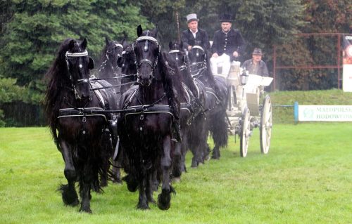 img-7716-edytowano-copy Małopolska Parada Koni 2025 w Klikowej