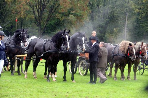img-7783-edytowano-copy Małopolska Parada Koni 2025 w Klikowej