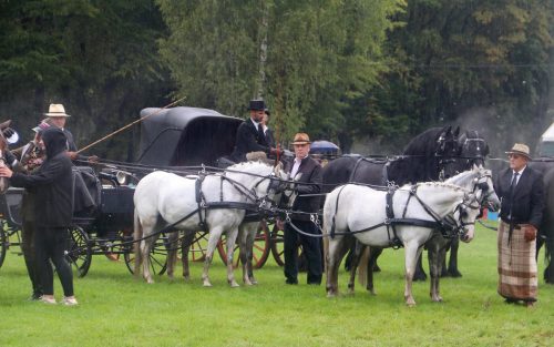 img-7785-edytowano-copy Małopolska Parada Koni 2025 w Klikowej