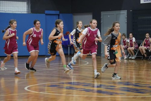 img-2366-copy Puchar Tarnowa w koszykówce - dedycja VII/2