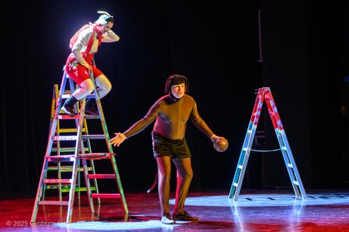 KM113 CSM – "Koziołek Matołek i jego przygody" – spektakl teatralny Prym-Art