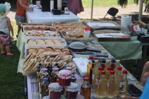 11a-copy Piknik w Ogrodzie Kwiatkowskiego