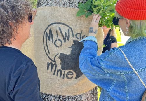 3 Ruszył Lek na lęk