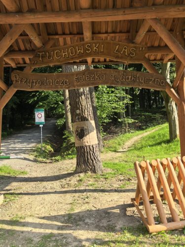 02Lek-na-lek-10-fot-OSP-Tuchow REGION - Nitki rozmów na drzewach