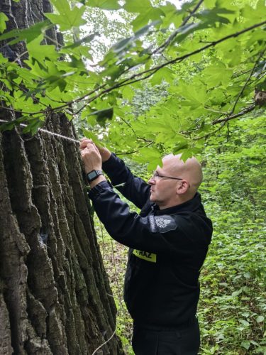 02Lek-na-lek-12-fot-OSP-Tuchow REGION - Nitki rozmów na drzewach