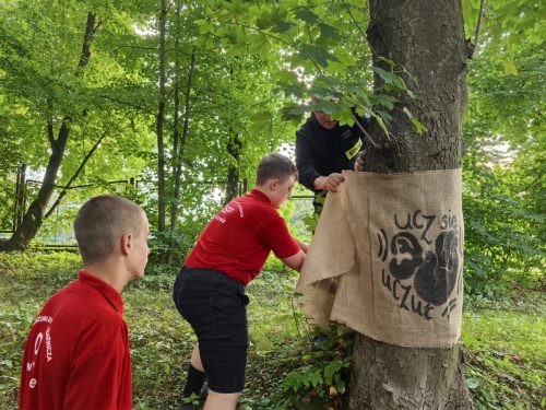 02Lek-na-lek-4-fot-OSP-Tuchow REGION - Nitki rozmów na drzewach