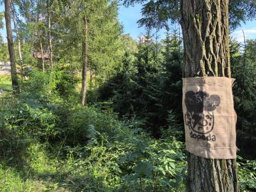 02Lek-na-lek-7-fot-OSP-Tuchow REGION - Nitki rozmów na drzewach