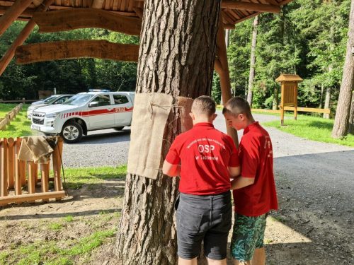 02Lek-na-lek-8-fot-OSP-Tuchow REGION - Nitki rozmów na drzewach