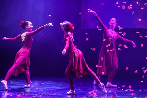 M-Ksiaze-203 Scena Otwarta - Mały Książe