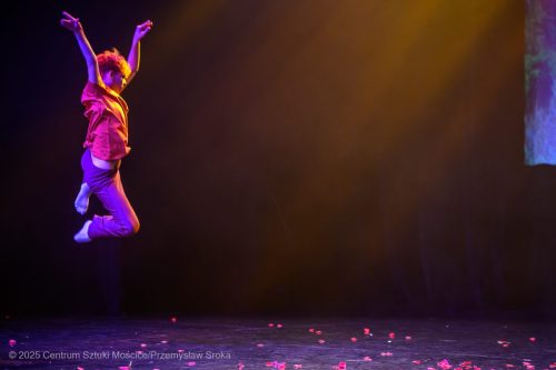 M-Ksiaze-226 Scena Otwarta - Mały Książe