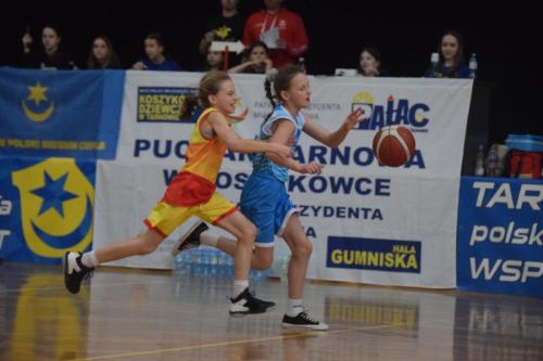 DSC_1301-Copy Za nami VI edycja Pucharu Tarnowa w Koszykówce o Puchar Prezydenta Tarnowa