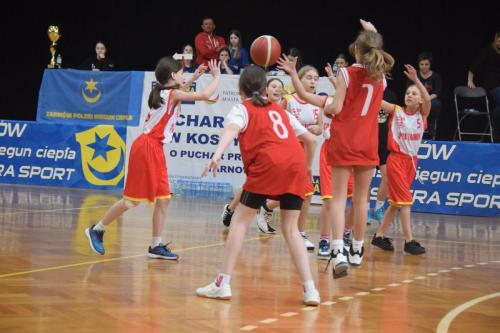 DSC_1321-Copy Za nami VI edycja Pucharu Tarnowa w Koszykówce o Puchar Prezydenta Tarnowa