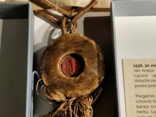 10 Sekrety przeszłości na wyciągnięcie ręki – unikatowa wystawa w Muzeum Ziemi Tarnowskiej