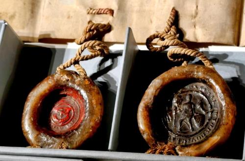 6 Sekrety przeszłości na wyciągnięcie ręki – unikatowa wystawa w Muzeum Ziemi Tarnowskiej