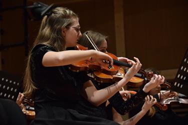 DSC_2101-Copy-Copy Dzień Muzyki Dawnej