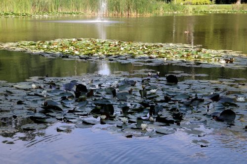 img-6914-edytowano-copy Rodzinne popołudnie w Parku Piaskówka