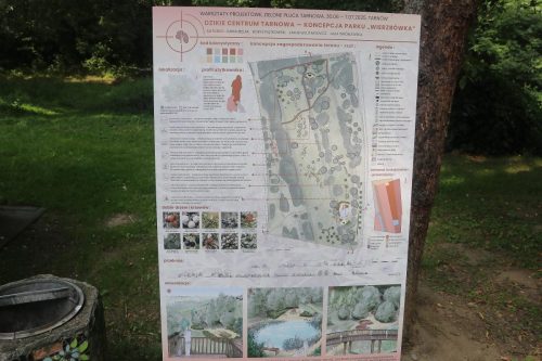 img-6976-edytowano-copy Rodzinne popołudnie w Parku Piaskówka