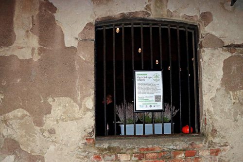 img-9865-edytowano-copy Zaduszkowe wspomnienia w Ogrodzie Jednego Drzewa