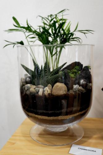 13-copy Małe Wielkie Ogrody – Sztuka Natury w Drewnie i Szkle