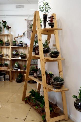 14-copy Małe Wielkie Ogrody – Sztuka Natury w Drewnie i Szkle