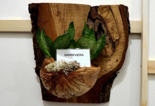 15-copy Małe Wielkie Ogrody – Sztuka Natury w Drewnie i Szkle