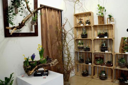 2-copy Małe Wielkie Ogrody – Sztuka Natury w Drewnie i Szkle