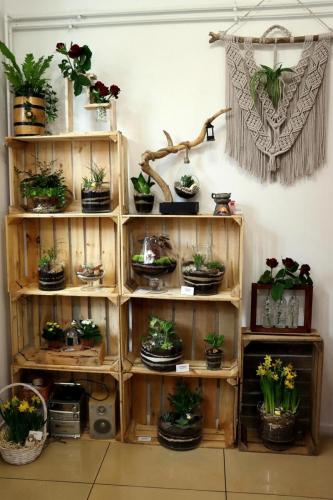 4-copy Małe Wielkie Ogrody – Sztuka Natury w Drewnie i Szkle