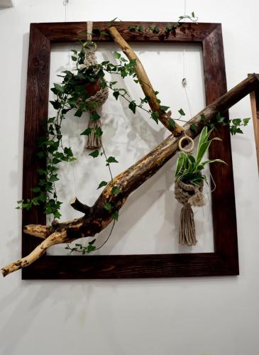 img-0399-edytowano-copy Małe Wielkie Ogrody – Sztuka Natury w Drewnie i Szkle