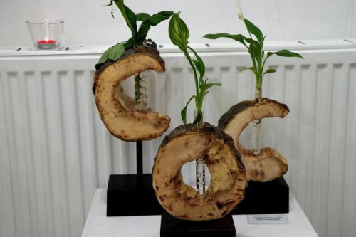 img-0402-edytowano-copy Małe Wielkie Ogrody – Sztuka Natury w Drewnie i Szkle