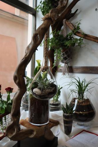 img-0416-copy Małe Wielkie Ogrody – Sztuka Natury w Drewnie i Szkle