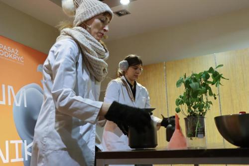 38 Zimowe Warsztaty z Pasażem Odkryć w Gemini Park Tarnów