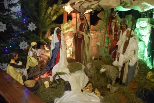 dsc-4385-copy Bazylika Katedralna Pasterka 2024