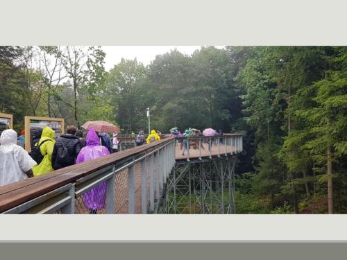 slajd29-copy Podsumowanie projektu "Z radością odkrywamy świat na nowo"