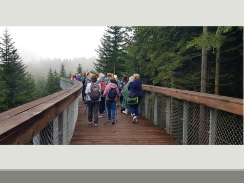 slajd30-copy Podsumowanie projektu "Z radością odkrywamy świat na nowo"