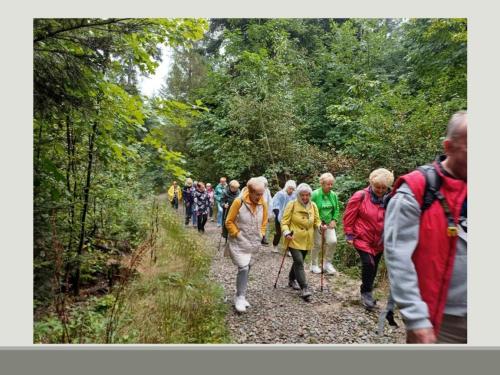 slajd31-copy Podsumowanie projektu "Z radością odkrywamy świat na nowo"