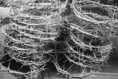 3 Wernisaż wystawy Przemysława Sroki "Jerozolima – miasto z kamienia i religii"