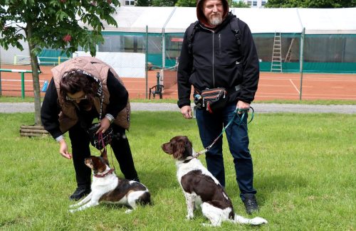 16 Psie serca i sportowe emocje – Tarnowskie Błonia