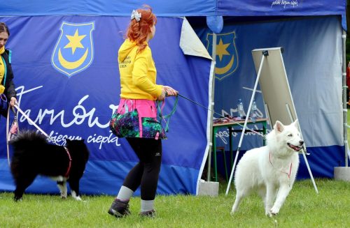 22 Psie serca i sportowe emocje – Tarnowskie Błonia