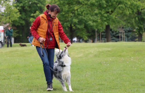 23 Psie serca i sportowe emocje – Tarnowskie Błonia