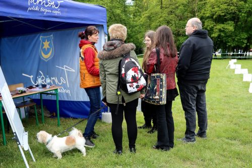 25 Psie serca i sportowe emocje – Tarnowskie Błonia